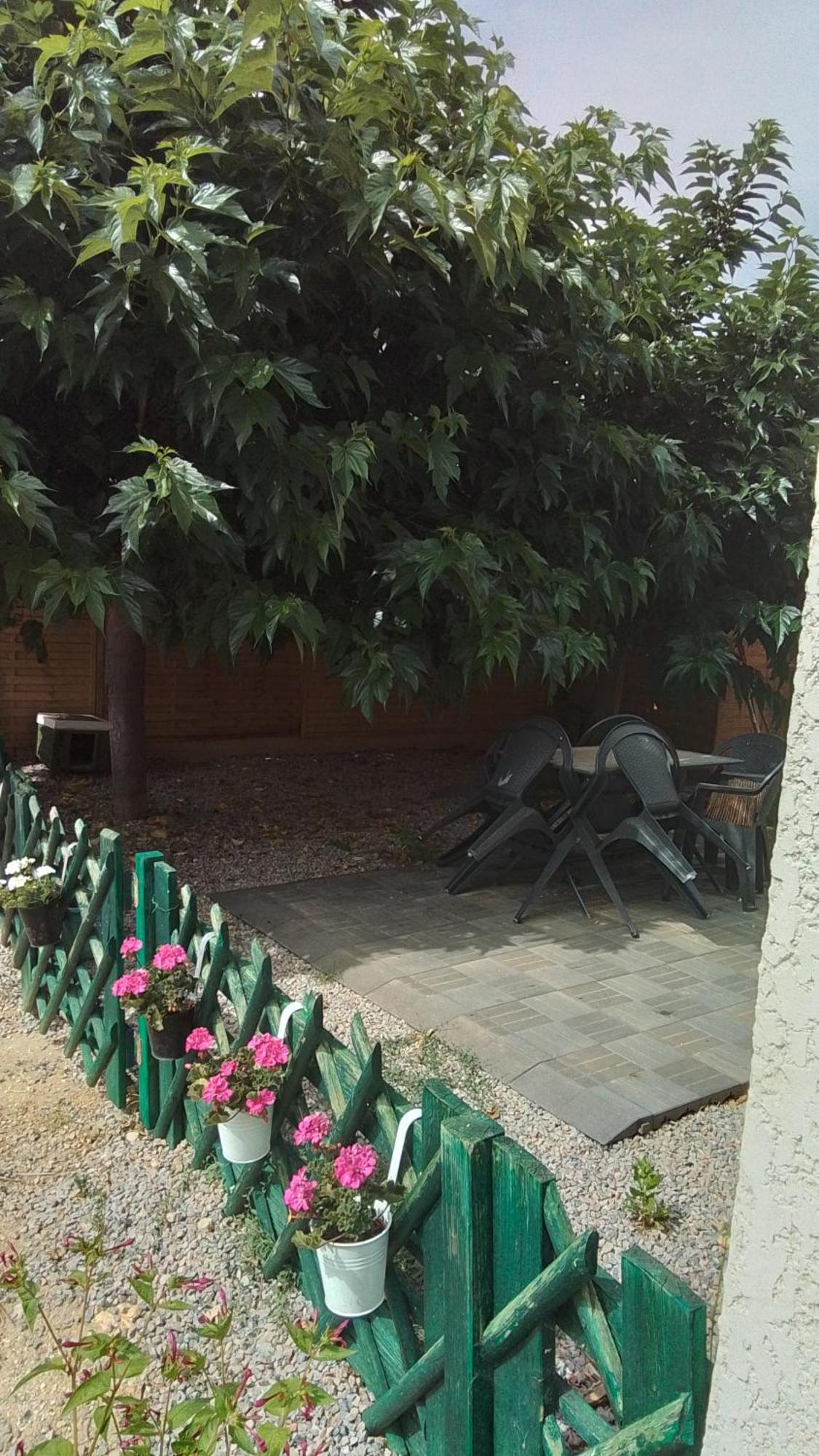 La Tortue Passa Exterior foto